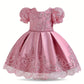 Baby Girl's Lace Princess dress