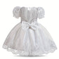 Baby Girl's Lace Princess dress